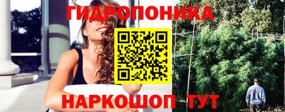 ПСИЛОЦИБИНОВЫЕ ГРИБЫ Лесосибирск