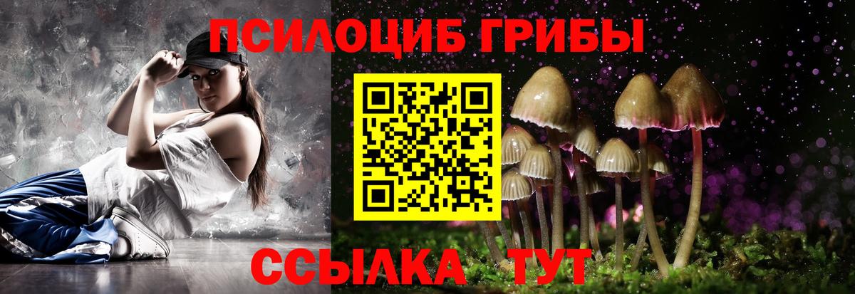 Галлюциногенные грибы Cubensis  Вход с VPN  Джанкой 